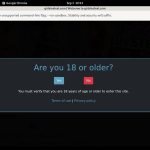 Porno Girls In Steel