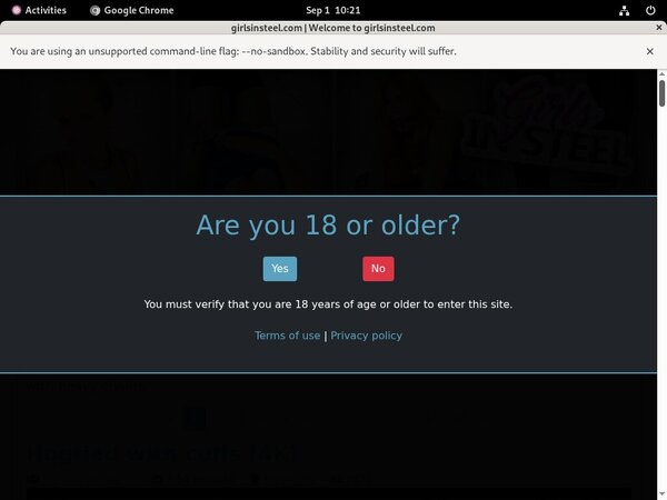 Porno Girls In Steel