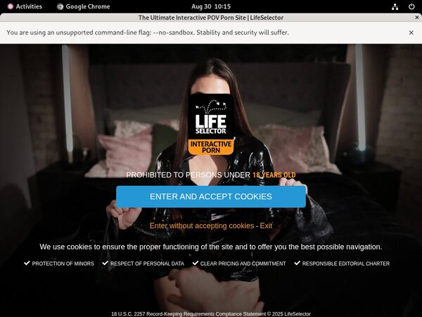 Is Life Selector Real? Is Life Selector Real?