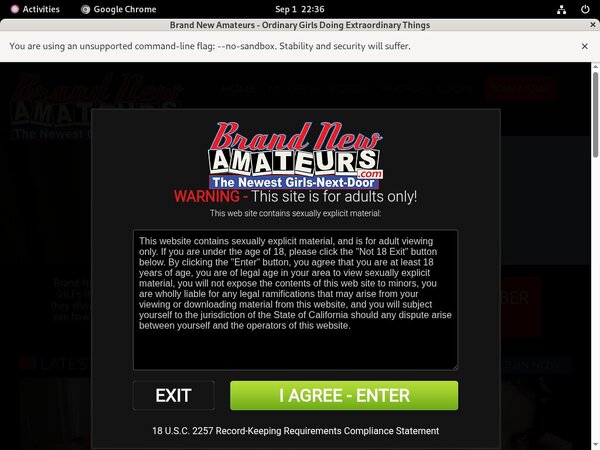 Brand New Amateurs Hack Account